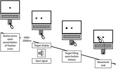 Corrigendum: Target Uncertainty During Motor Decision-Making: The Time Course of Movement Variability Reveals the Effect of Different Sources of Uncertainty on the Control of Reaching Movements